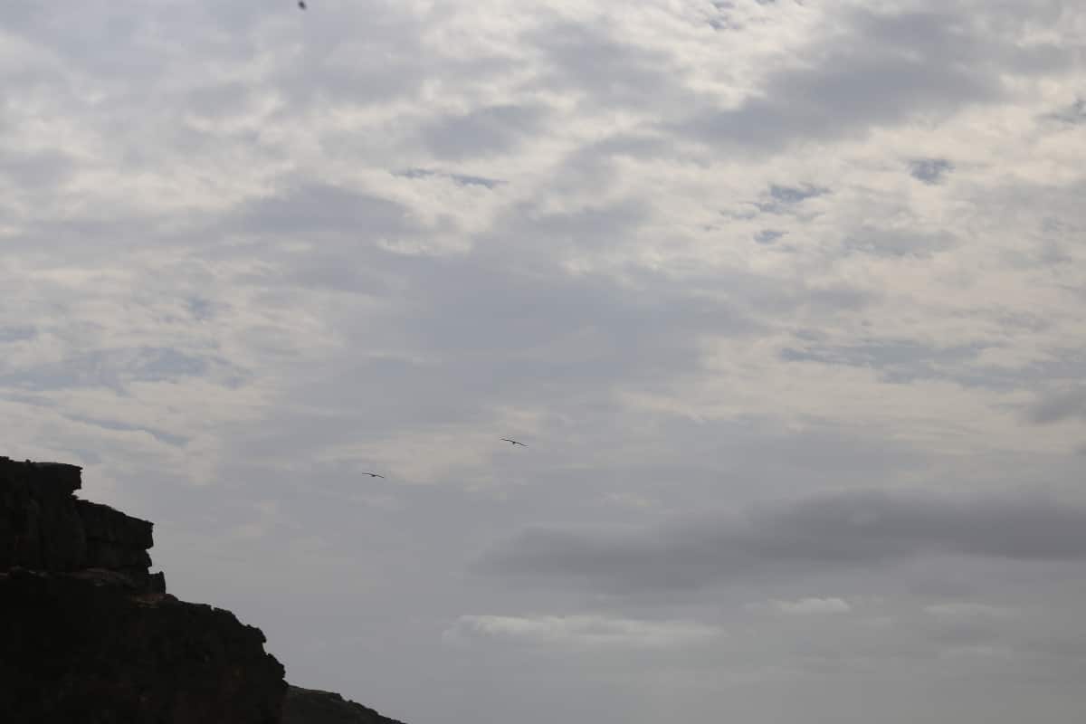 Vögel, Kalksteinhöhlen, Inselrundfahrt Boa Vista