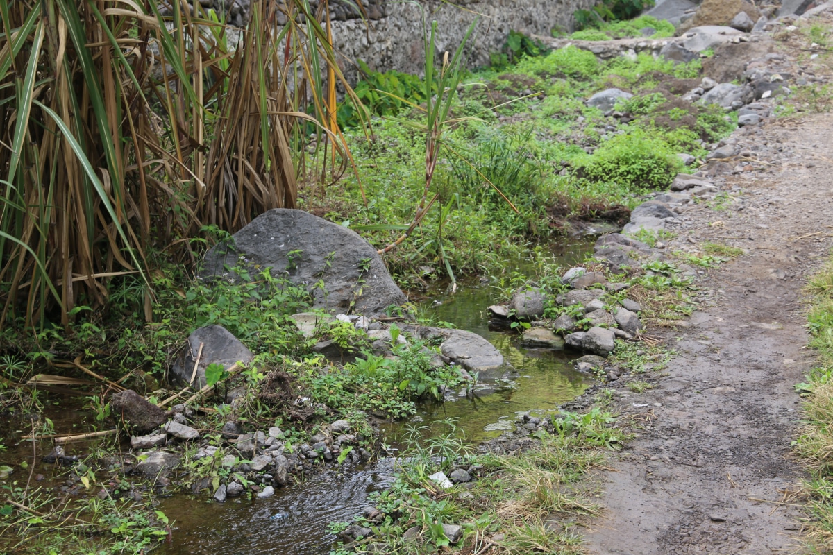Detailaufnahme, Bewässerung eines Zuckerrohrfeldes, Spaziergan in Caibros