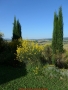 L1000651 Oli und Guy Toscana 2014 Unser Domizil Garten